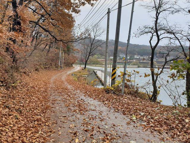 동계 이용요금 인하합니다용인삼인낚시터 (유료터정보 - 유료터점주조황)