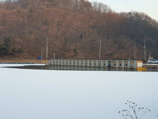 물 맑고 힘 좋은 용인 삼인 낚시터 조황용인 삼인낚시터 (유료터정보 - 유료터점주조황)