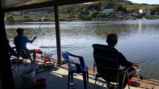 물 맑고 힘 좋은 용인 삼인 낚시터 조황용인 삼인낚시터 (유료터정보 - 유료터점주조황)