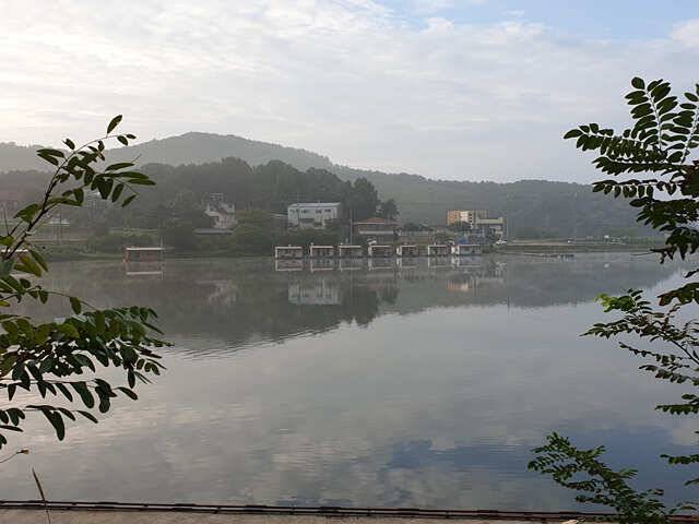 오늘만 같아라용인삼인낚시터 (유료터정보 - 유료터점주조황)