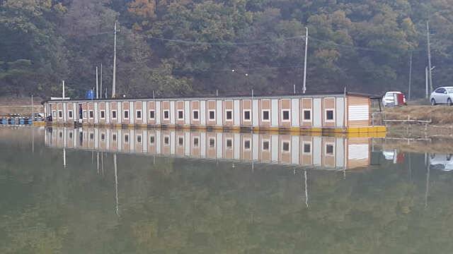 만추강추용인삼인낚시터 (유료터정보 - 유료터점주조황)