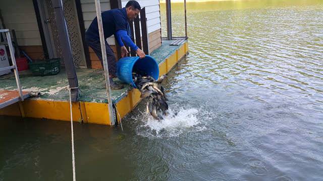 fish_pay_a8b58_032104_40888.jpg