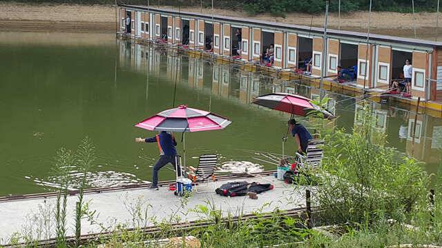 용인 삼인낚시터 주말 조황용인삼인낚시터 (유료터정보 - 유료터점주조황)