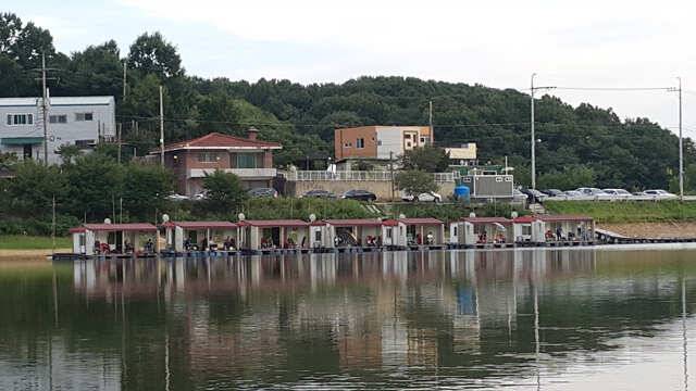 용인 삼인낚시터 주말 조황용인삼인낚시터 (유료터정보 - 유료터점주조황)
