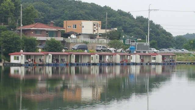 용인 삼인낚시터 주말조황용인 삼인 낚시터 (유료터정보 - 유료터점주조황)