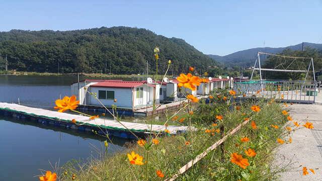 가장 재미잇는낚시용인삼인낚시터 (유료터정보 - 유료터점주조황)