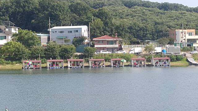 용인 삼인낚시터 주말 조황용인삼인낚시터 (유료터정보 - 유료터점주조황)