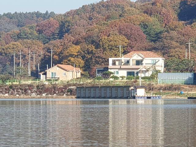 물 맑고 힘 좋은 용인 삼인 낚시터 조황용인 삼인낚시터 (유료터정보 - 유료터점주조황)