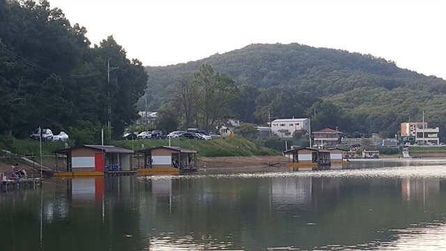 물 맑고 힘 좋은 용인 삼인낚시터용인 삼인낚시터 (유료터정보 - 유료터점주조황)