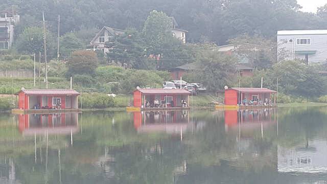 조황 굿입니다요용인 삼인낚시터 (유료터정보 - 유료터점주조황)