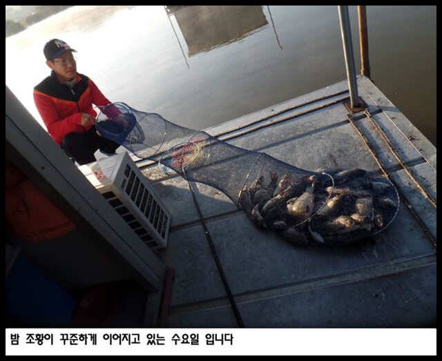 fish_pay_b9674_101159_15255.jpg