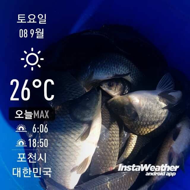 가을을 맞이한 주말 (유료터정보 - 유료터점주조황)