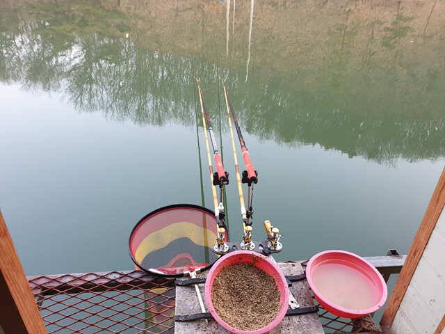 fish_pay_bc93f_013242_48952.jpg