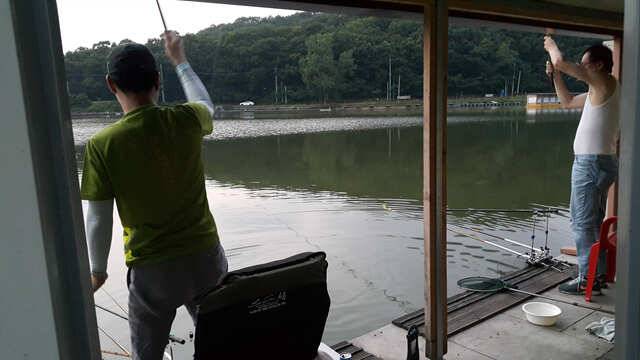 물 맑고 힘 좋은 용인 삼인낚시터용인 삼인낚시터 (유료터정보 - 유료터점주조황)