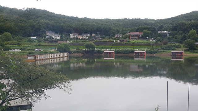 용인 삼인낚시터 소식용인 삼인낚시터 (유료터정보 - 유료터점주조황)