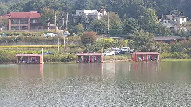 연휴시작조황도up용인삼인낚시터 (유료터정보 - 유료터점주조황)