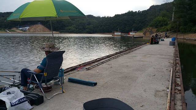 용인 삼인낚시터 소식용인 삼인 낚시터 (유료터정보 - 유료터점주조황)