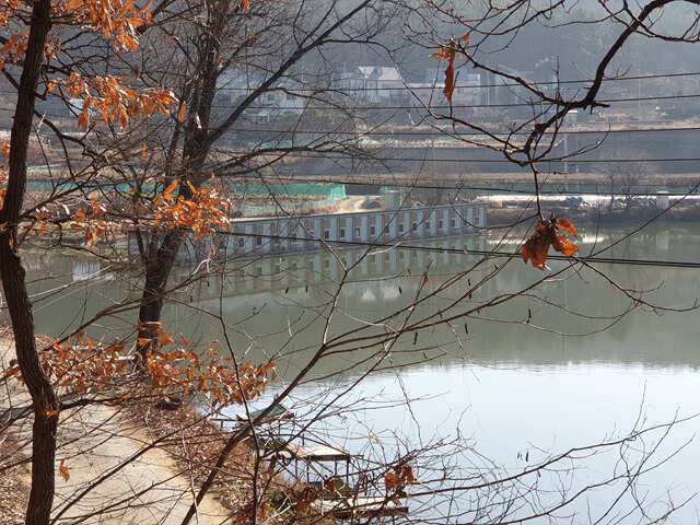 물 맑고 힘 좋은 용인 삼인 낚시터 조황용인 삼인낚시터 (유료터정보 - 유료터점주조황)