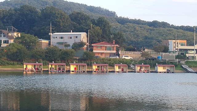 용인 삼인낚시터 소식용인 삼인 낚시터 (유료터정보 - 유료터점주조황)
