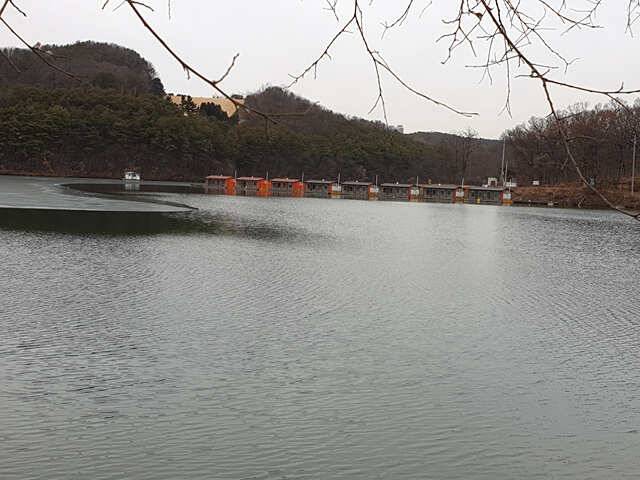 물 맑고 힘 좋은 용인 삼인 낚시터 조황용인 삼인낚시터 (유료터정보 - 유료터점주조황)