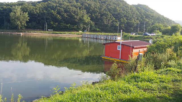 fish_pay_d7b15_032036_25662.jpg