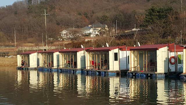 3월17일 정식 개장 합니다용인삼인낚시터 (유료터정보 - 유료터점주조황)