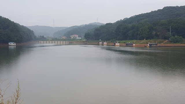 용인 삼인낚시터 소식용인 삼인 낚시터 (유료터정보 - 유료터점주조황)