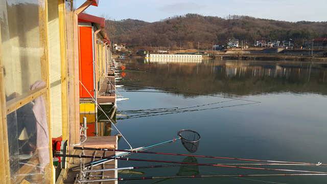 드디어 얼음이 얼었습니다용인 삼인낚시터 (유료터정보 - 유료터점주조황)