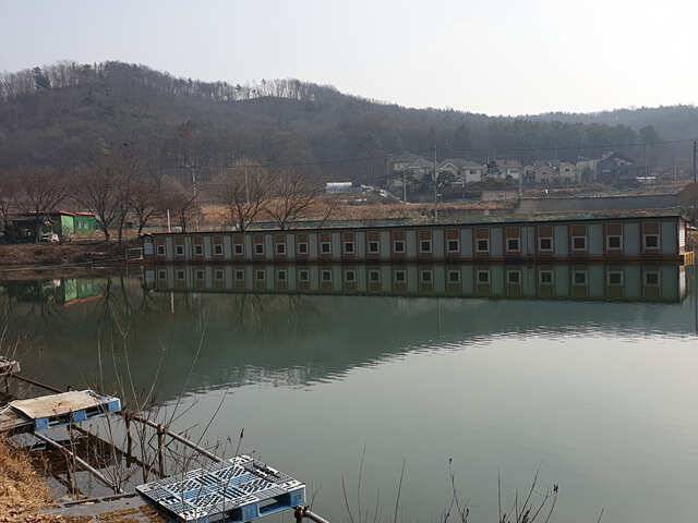 물 맑고 힘 좋은 용인 삼인 낚시터 조황용인 삼인낚시터 (유료터정보 - 유료터점주조황)