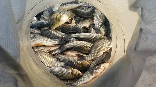 fish_pay_e3661_022404_60262.jpg