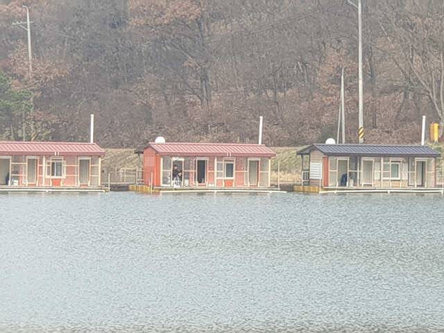 물 맑고 힘 좋은 용인 삼인 낚시터 조황용인 삼인낚시터 (유료터정보 - 유료터점주조황)