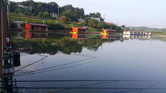 fish_pay_e5267_032028_69398.jpg