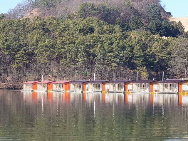 물 맑고 힘 좋은 용인 삼인 낚시터 조황용인 삼인낚시터 (유료터정보 - 유료터점주조황)