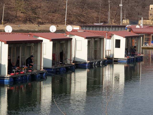 개장일 주말 조황용인삼인낚시터 (유료터정보 - 유료터점주조황)