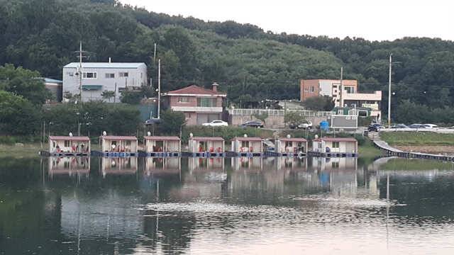 물 맑고 힘 좋은 용인 삼인 낚시터 조황용인 삼인낚시터 (유료터정보 - 유료터점주조황)