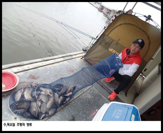 fish_pay_efc53_101938_35782.jpg
