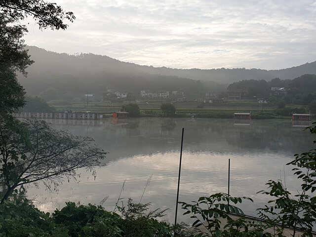 오늘만 같아라용인삼인낚시터 (유료터정보 - 유료터점주조황)