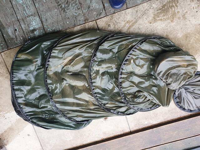물 맑고 힘 좋은 용인 삼인 낚시터 조황용인 삼인낚시터 (유료터정보 - 유료터점주조황)