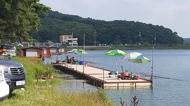 용인 삼인낚시터 주말조황용인 삼인 낚시터 (유료터정보 - 유료터점주조황)