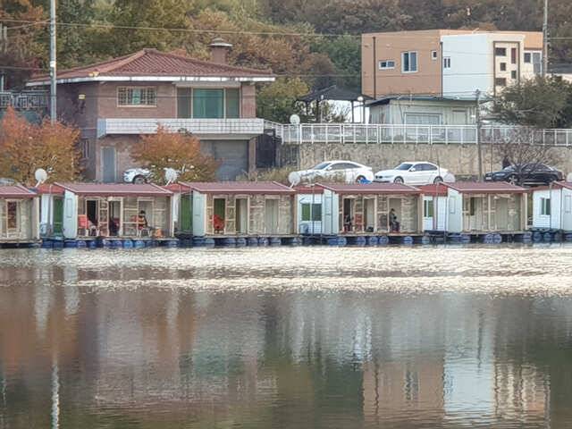 물 맑고 힘 좋은 용인 삼인 낚시터 조황용인 삼인낚시터 (유료터정보 - 유료터점주조황)