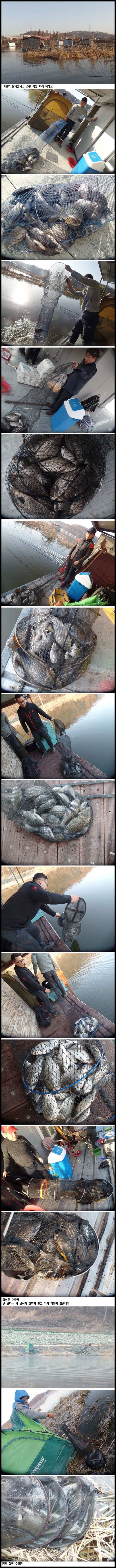 아산죽산지1120일 좋은 조황이 계속 되고 있는 상류 수초권 (유료터정보 - 유료터점주조황)