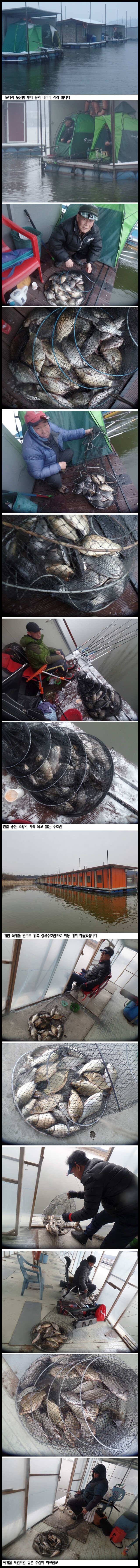 아산죽산지219일 좋은 조황이 계속 되고 있는 수초권 (유료터정보 - 유료터점주조황)