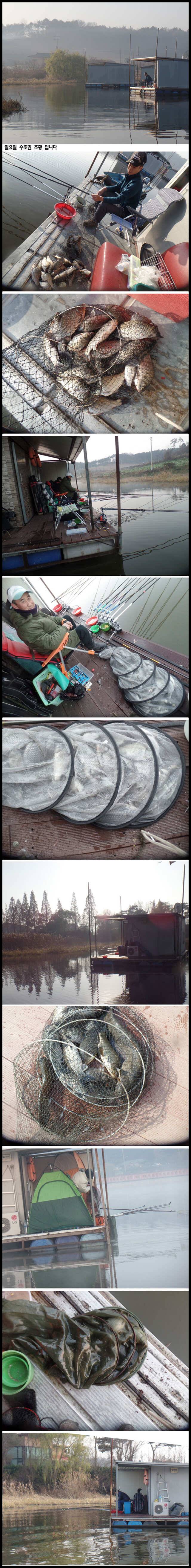 아산죽산지1119일 일요일 수초권 조황 (유료터정보 - 유료터점주조황)