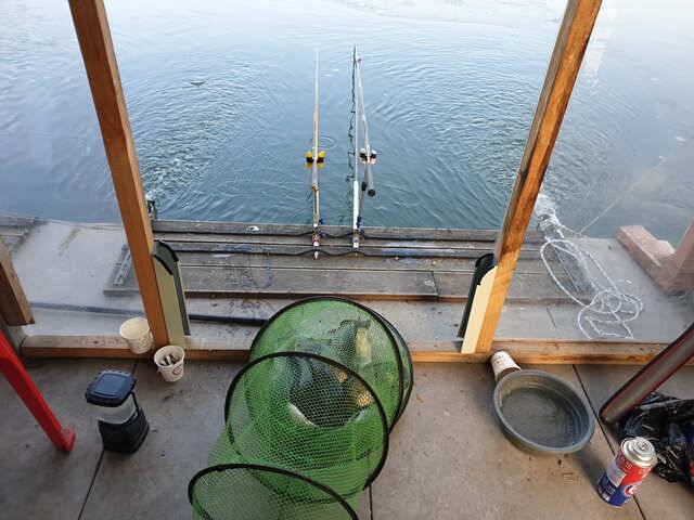 fish_pay_f7b8b_094843_67552.jpg