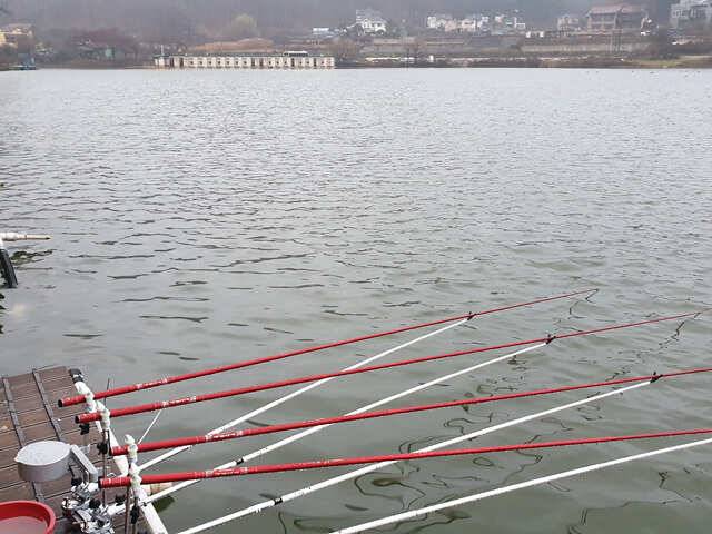 fish_pay_fe3a0_121400_38105.jpg