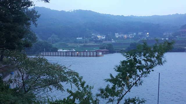 용인 삼인낚시터 소식용인 삼인 낚시터 (유료터정보 - 유료터점주조황)