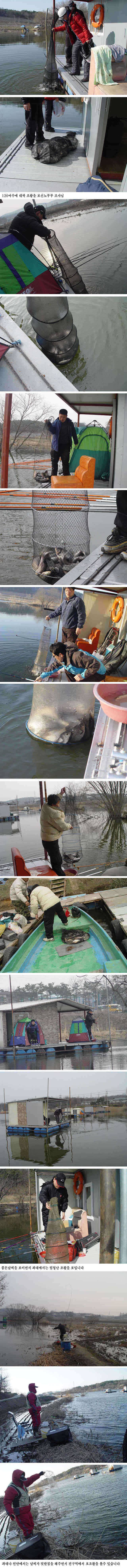 전구역 호조황 (유료터정보 - 유료터점주조황)
