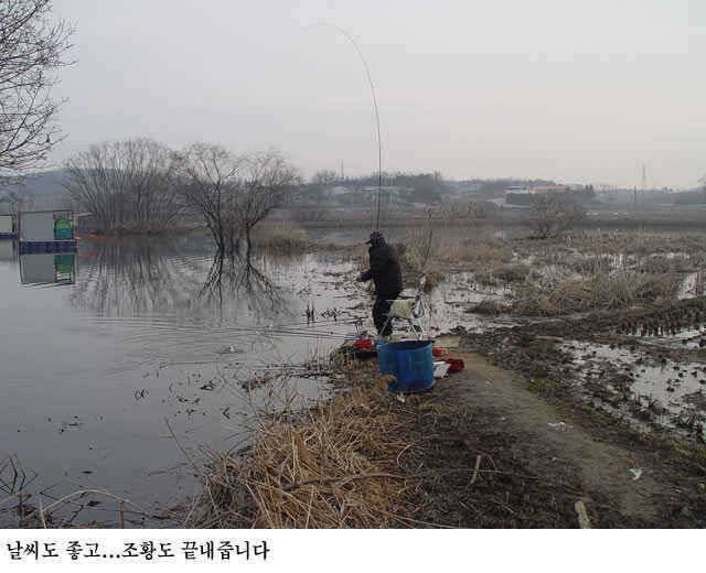 전구역 호조황 (유료터정보 - 유료터점주조황)
