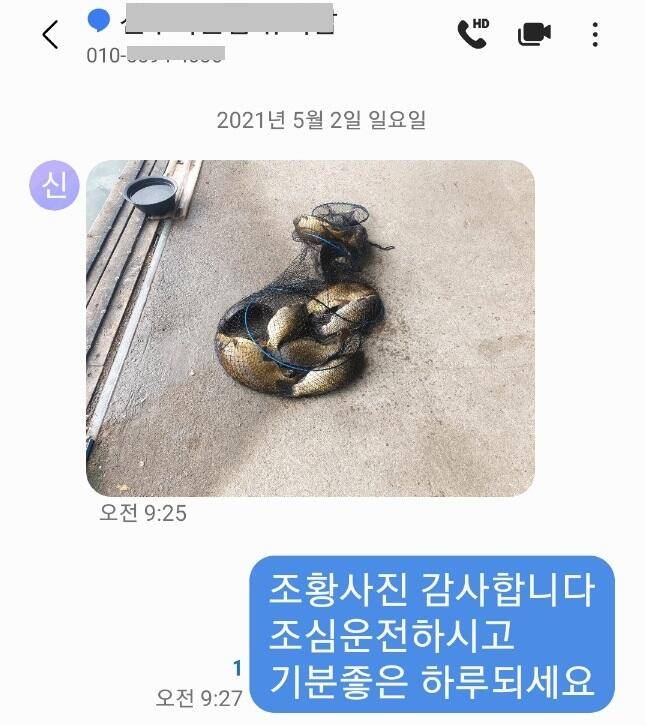 마지막주 금토 양평 힐링 수곡낚시터 조황 및 붕어 방류 (유료터정보 - 유료터점주조황)