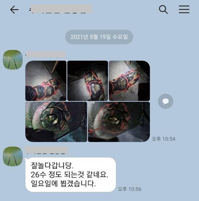 셋째주 주중 힐링 수곡나낏터 조황 및 오늘 붕어 방류 (유료터정보 - 유료터점주조황)